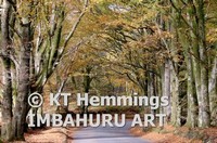 [Memhead Trees]